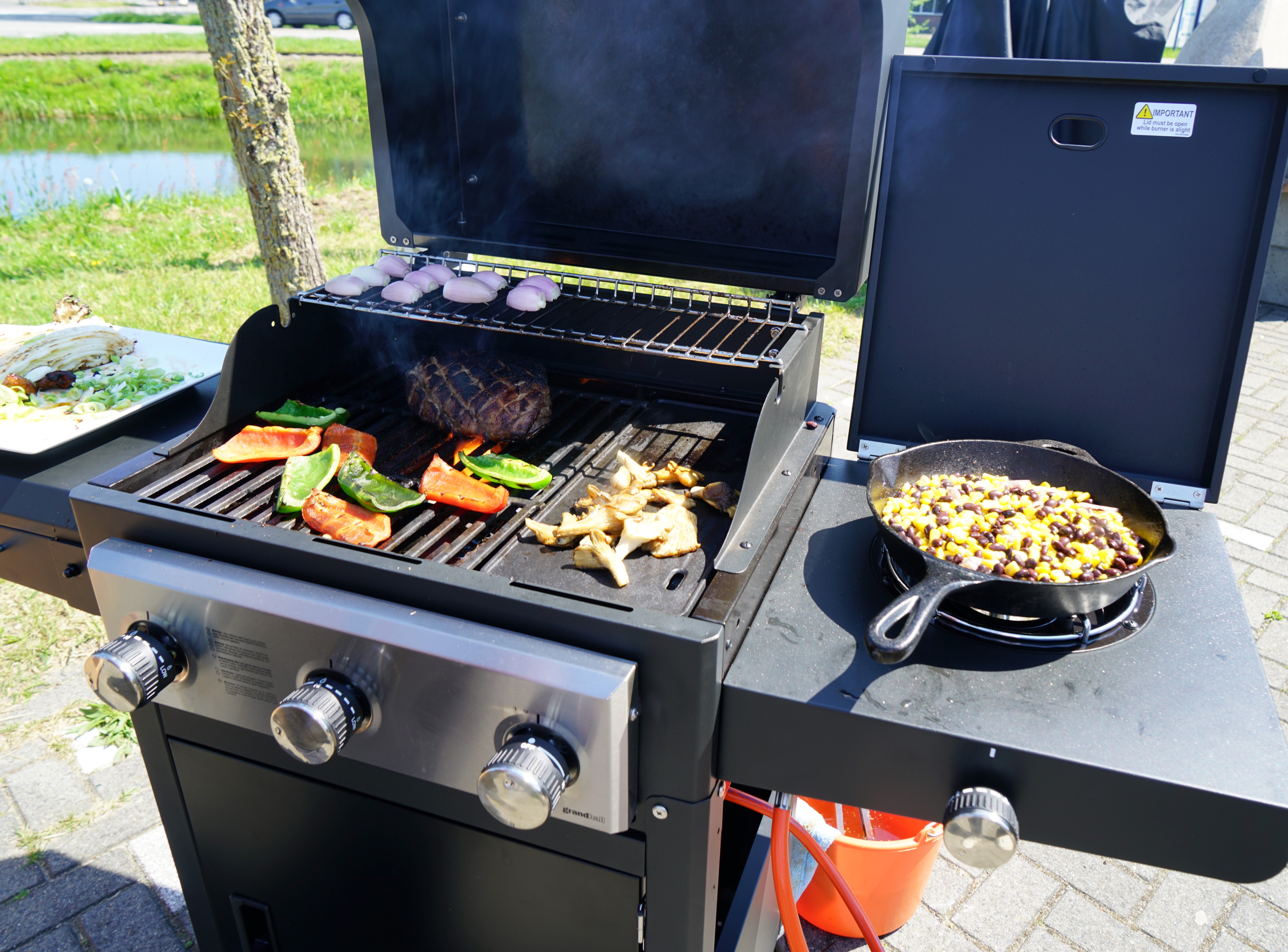 Camp Chef Gusseisen Pfanne Rund oder Quadratisch BBQ Grill Outdoor